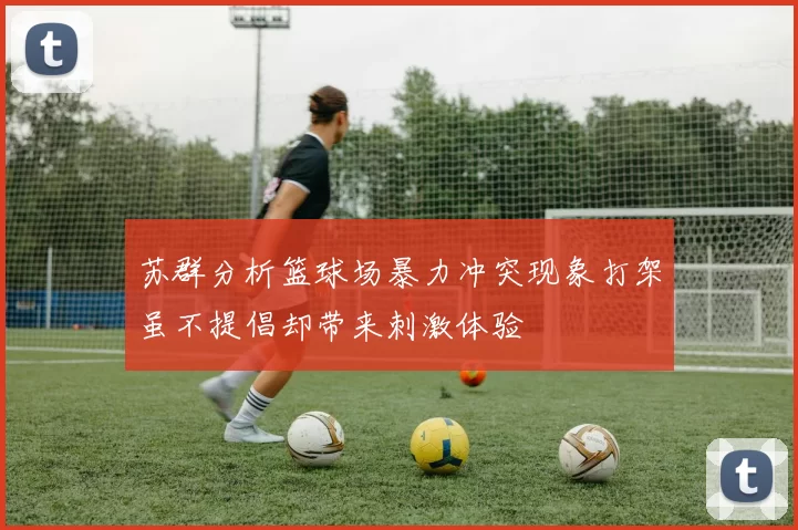 苏群分析篮球场暴力冲突现象打架虽不提倡却带来刺激体验